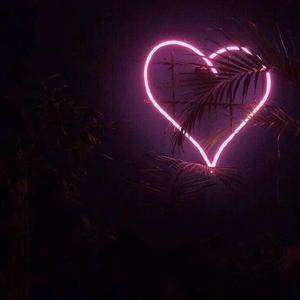 在线无码播放区
