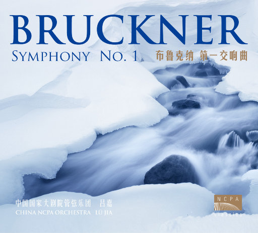 在线无码播放区
